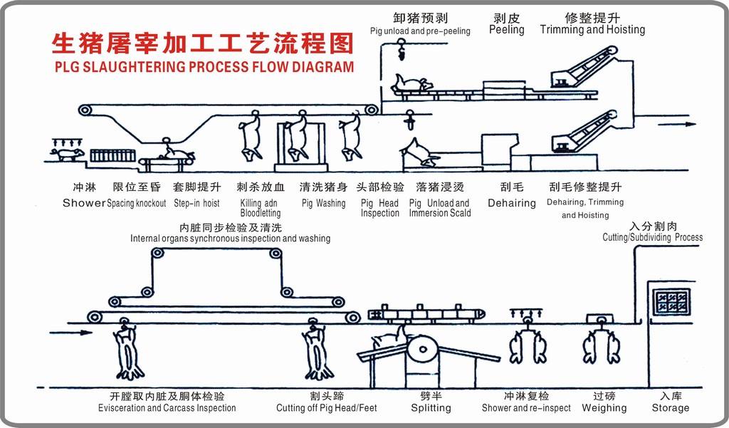 生猪屠宰工艺流程图