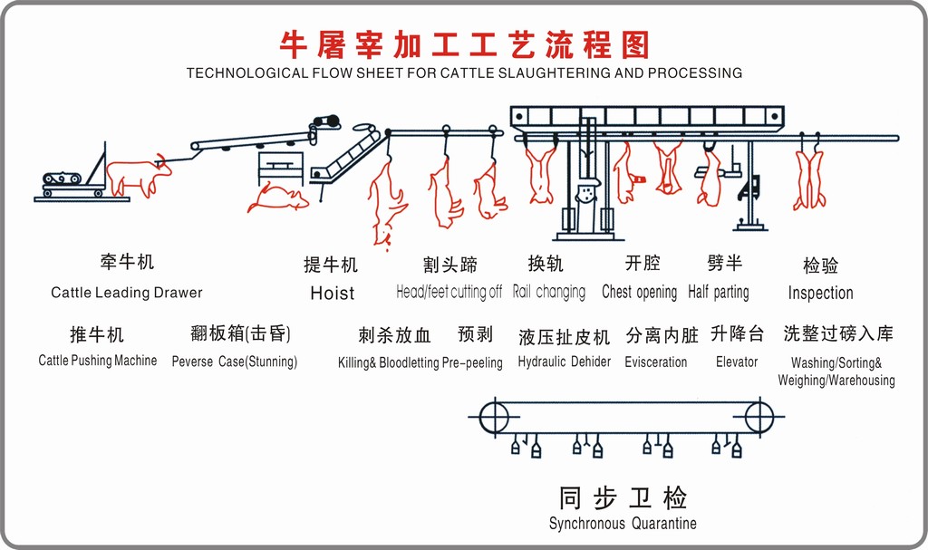 牛屠宰工艺流程图