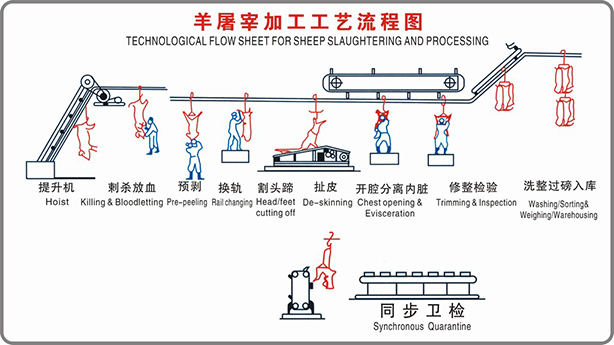 羊屠宰工艺流程图