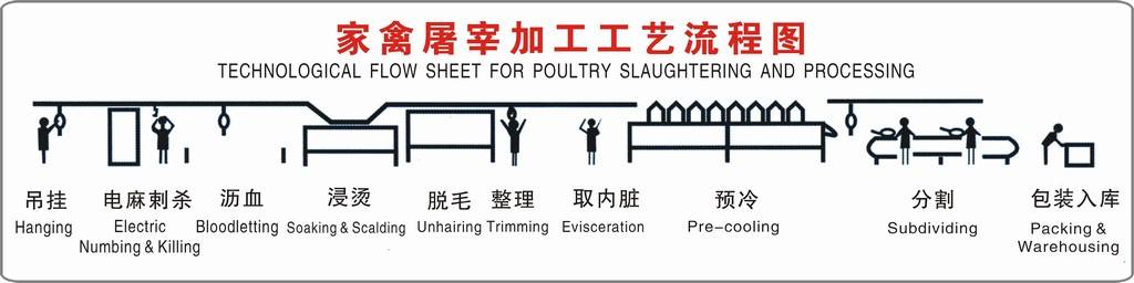 家禽屠宰工艺流程图